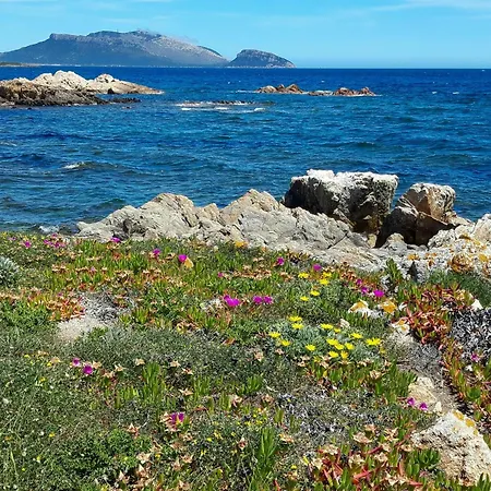 Semesterbostad By The Sea With View Of Tavolara Near Olbia